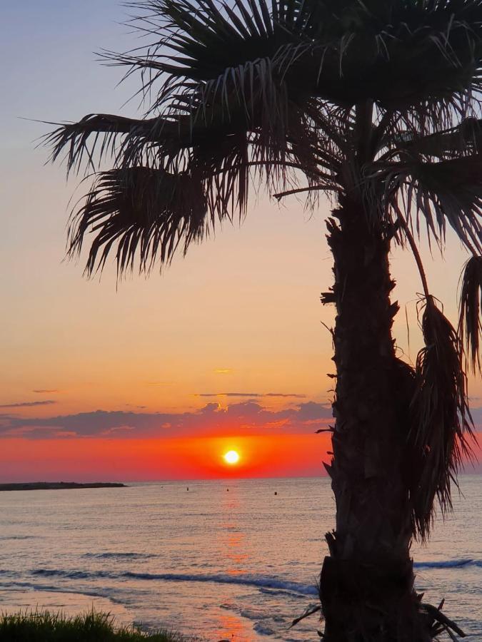 Gemuetliche Ferienwohnung In Torrevieja Ca100M Vom Strand Playa Del Cura Entfernt ภายนอก รูปภาพ